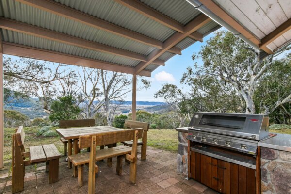 Silvertop Apartment