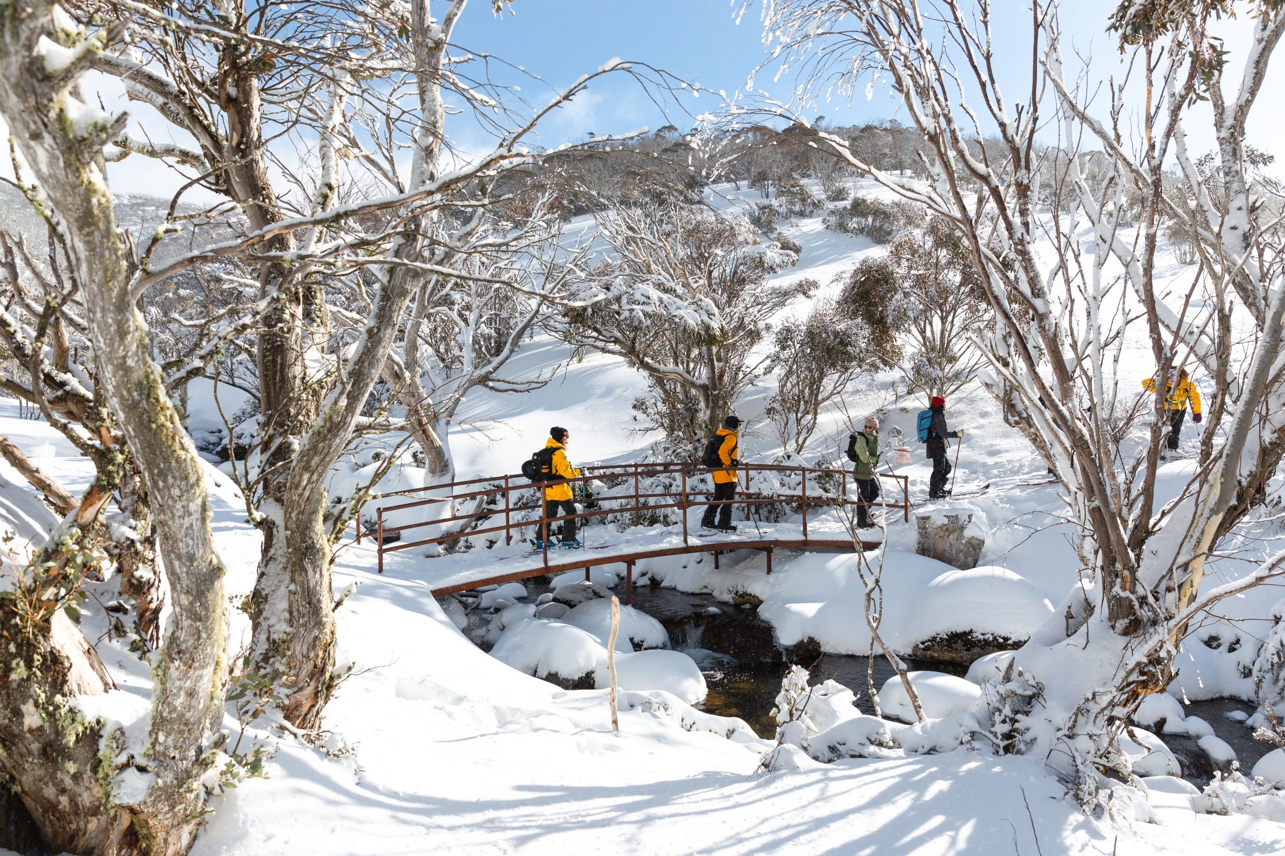 Thredbo